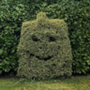 Meet your Posher, Solomon